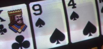 Vireo Poker Variance
