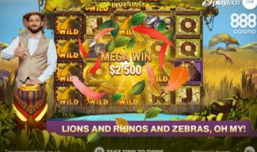 safari-riches-live-slot