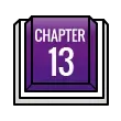Chapter 13-btn